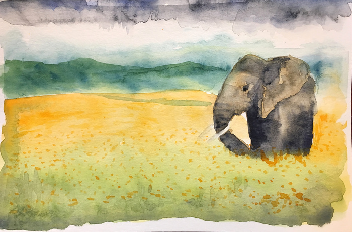 Elephant watercolor
